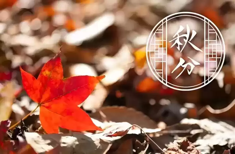 悬念广告实战秘籍：3步钩住用户好奇心，点击率暴涨！