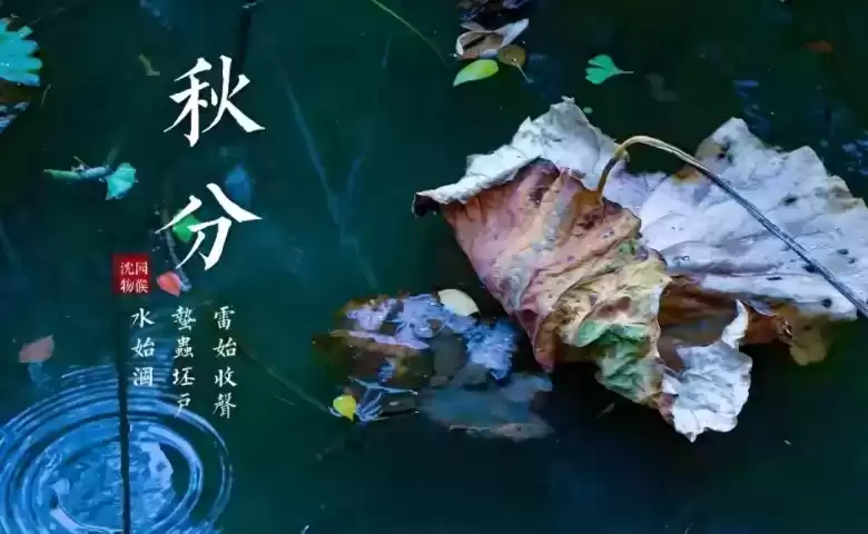 悬念广告实战秘籍：3步钩住用户好奇心，点击率暴涨！