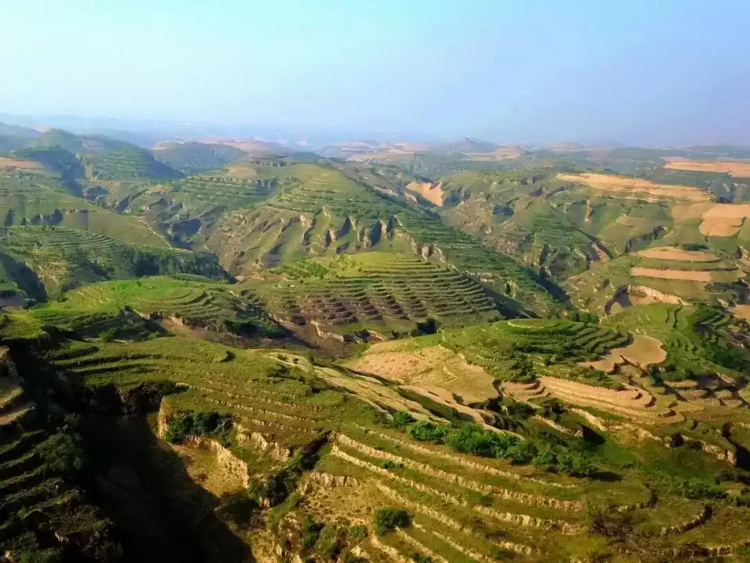 夏日没胃口？一碗米脂小米粥，瞬间开胃又养颜！