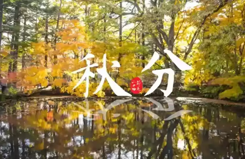 悬念式广告引爆术:3招让读者追着你跑! 悬念式广告引爆术:3招让读者追着你跑!