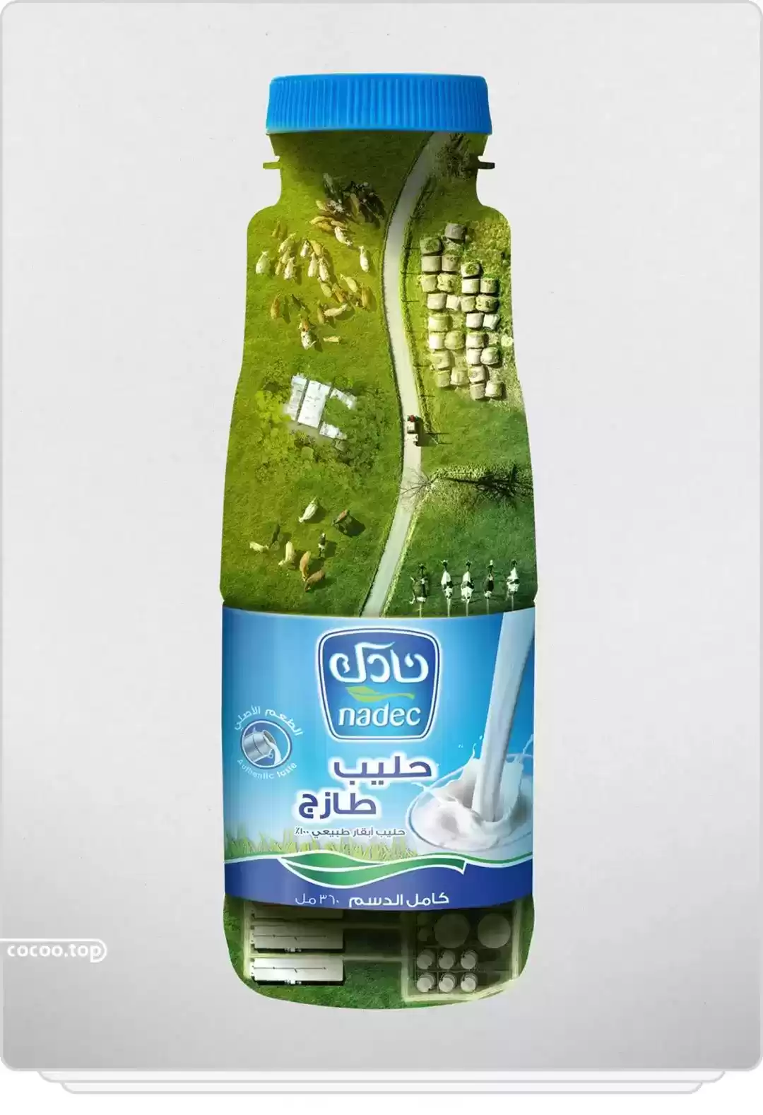 引爆创意风暴：平面广告文案的实战技巧全解析