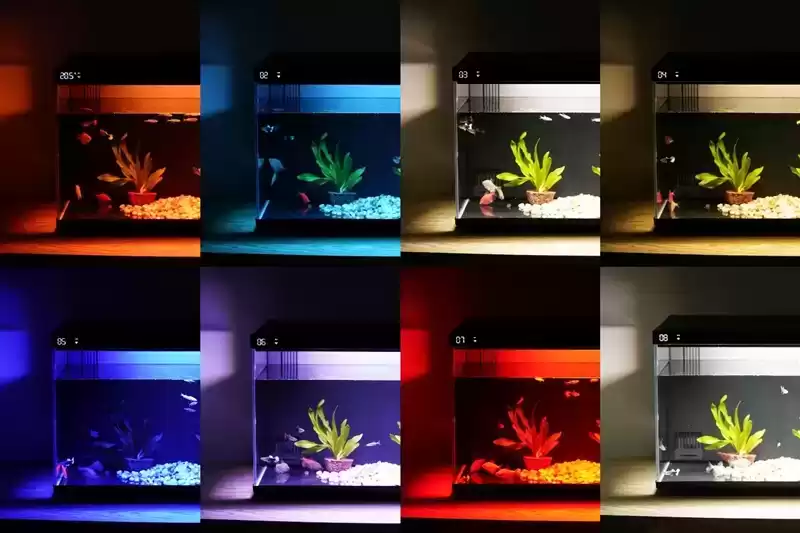 当贝智能鱼缸 1 Ultra：AI养鱼革命，新手秒变大师！