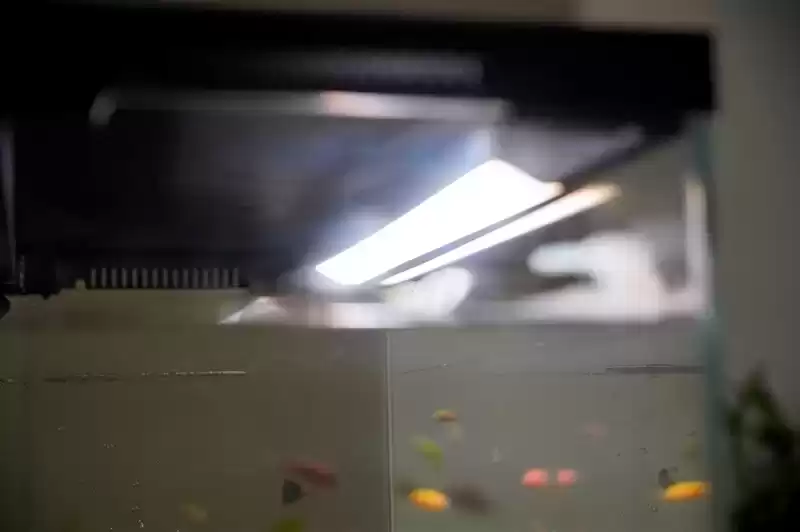 当贝智能鱼缸 1 Ultra：AI养鱼革命，新手秒变大师！