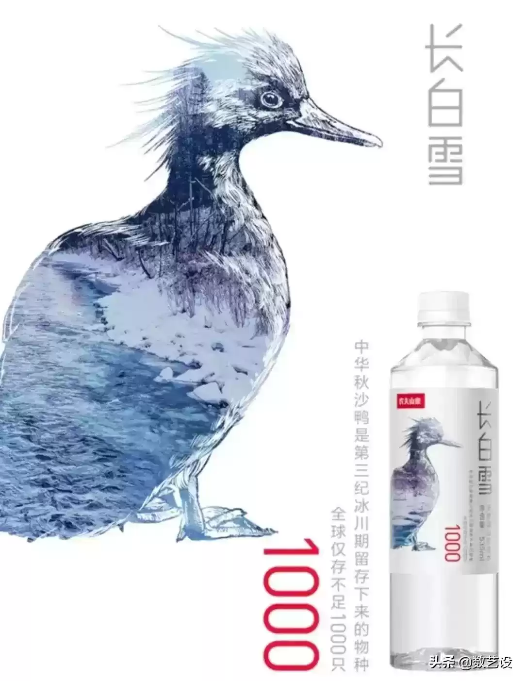 农夫山泉新广告震撼来袭！纪录片级视觉盛宴，带你飞越长白山