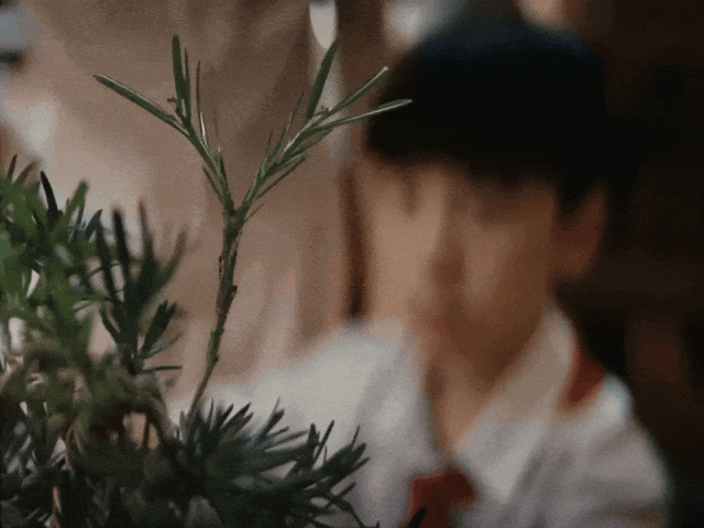 破圈之作!一棵树如何颠覆户外广告的传统叙事? 破圈之作!一棵树如何颠覆户外广告的传统叙事?