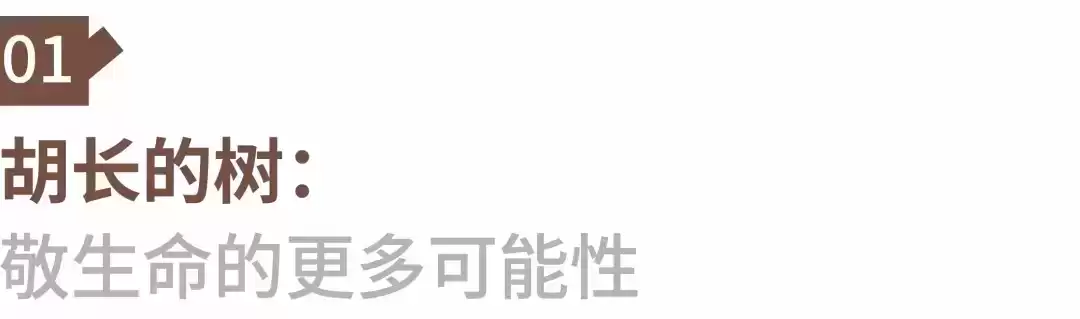 破圈之作!一棵树如何颠覆户外广告的传统叙事? 破圈之作!一棵树如何颠覆户外广告的传统叙事?