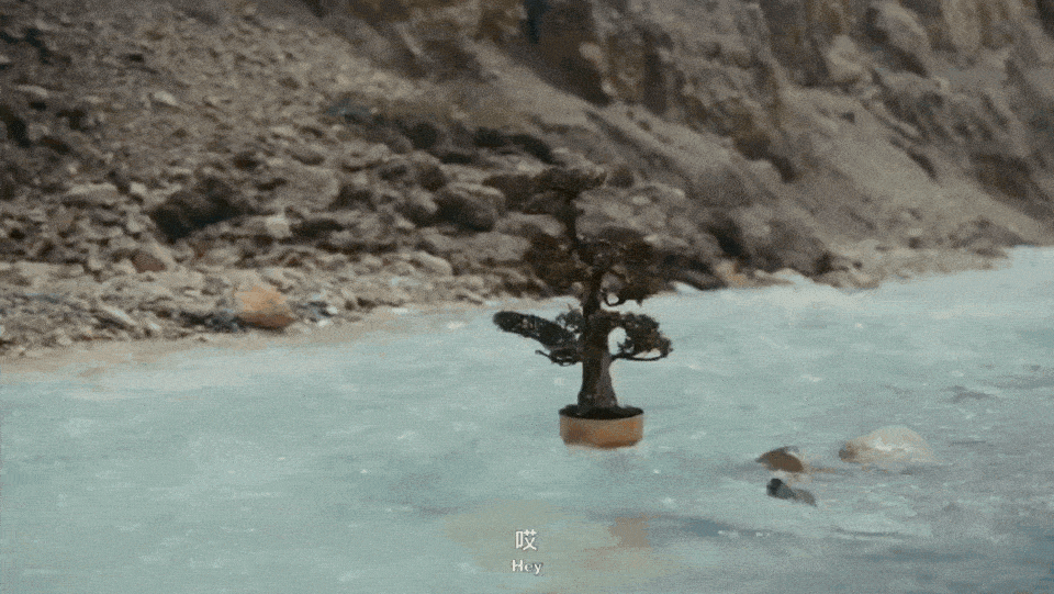 破圈之作!一棵树如何颠覆户外广告的传统叙事? 破圈之作!一棵树如何颠覆户外广告的传统叙事?