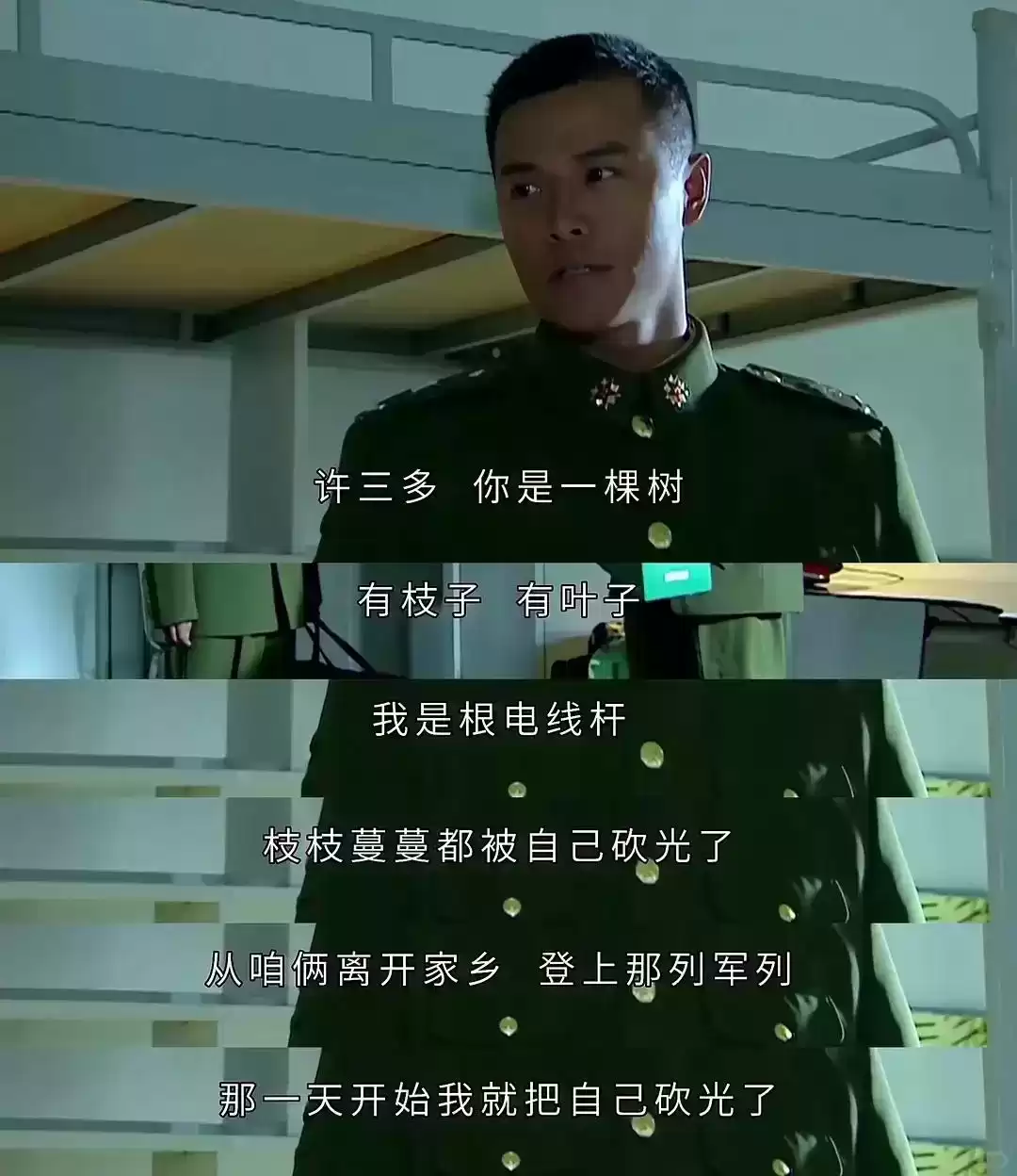 破圈之作!一棵树如何颠覆户外广告的传统叙事? 破圈之作!一棵树如何颠覆户外广告的传统叙事?