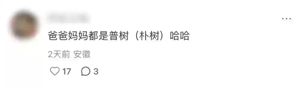 破圈之作!一棵树如何颠覆户外广告的传统叙事? 破圈之作!一棵树如何颠覆户外广告的传统叙事?