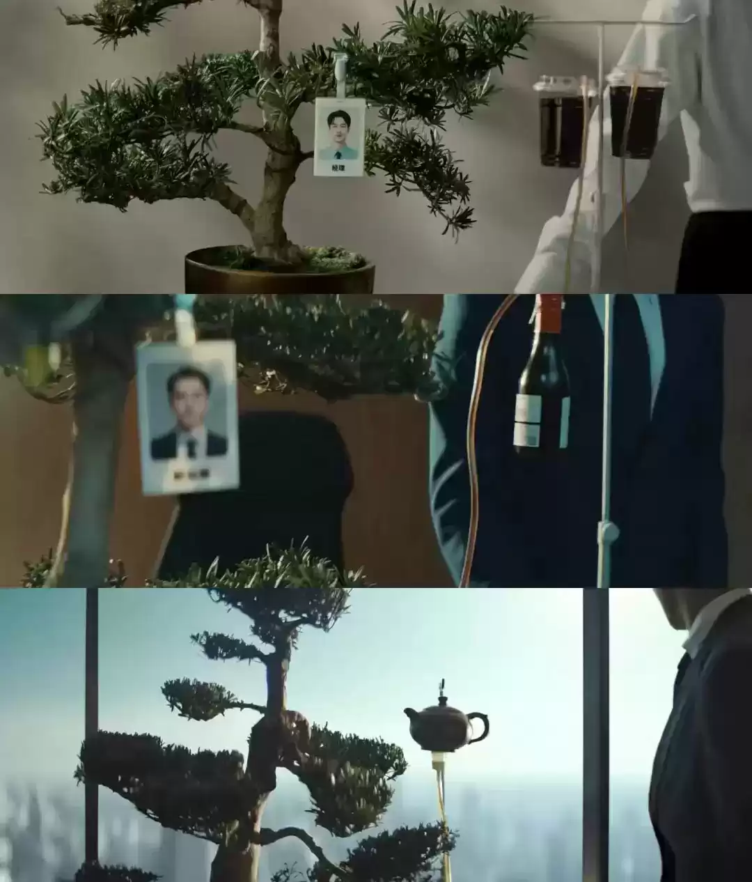 破圈之作!一棵树如何颠覆户外广告的传统叙事? 破圈之作!一棵树如何颠覆户外广告的传统叙事?