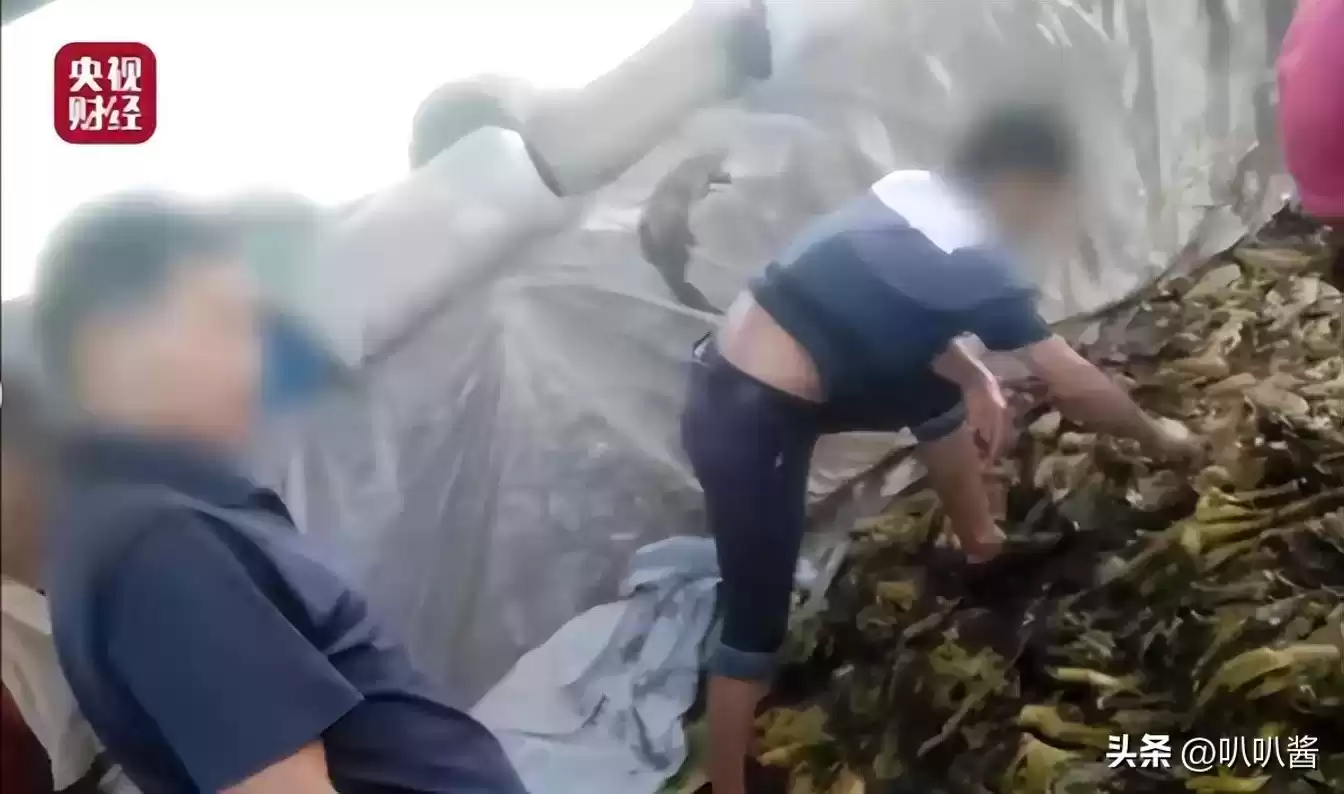 2017年虚假广告黑幕：明星胆大包天，央媒震怒，3大案例细节惊人！