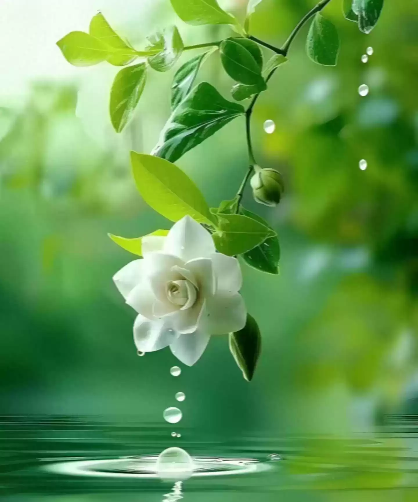 上海广告人震撼分享：内心从容，才是人生最顶级的活法！