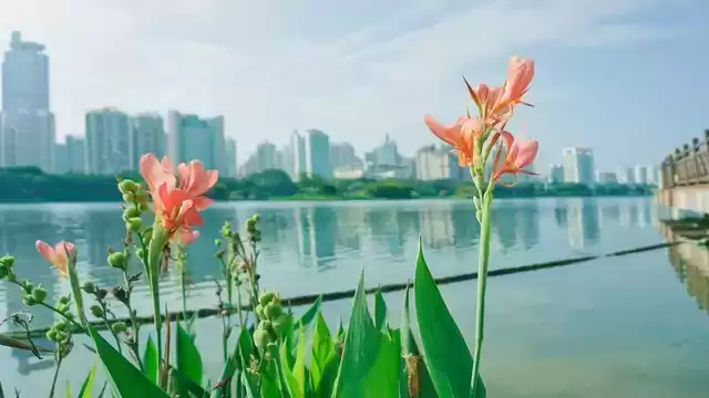 上海广告人震撼分享：内心从容，才是人生最顶级的活法！