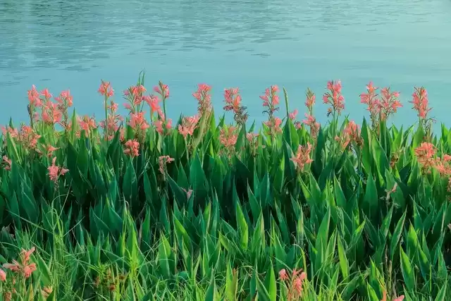 上海广告人震撼分享：内心从容，才是人生最顶级的活法！