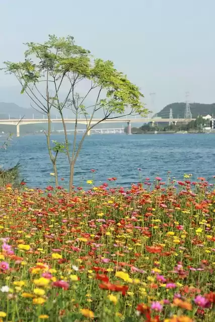 上海广告人震撼分享：内心从容，才是人生最顶级的活法！