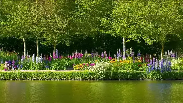 上海广告人震撼分享：内心从容，才是人生最顶级的活法！