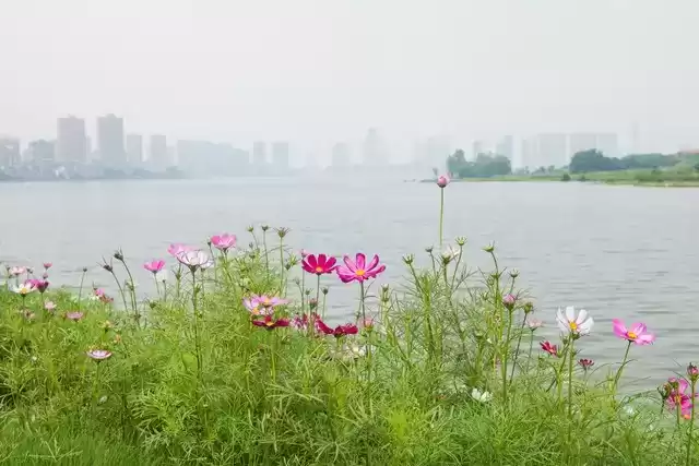 上海广告人震撼分享：内心从容，才是人生最顶级的活法！