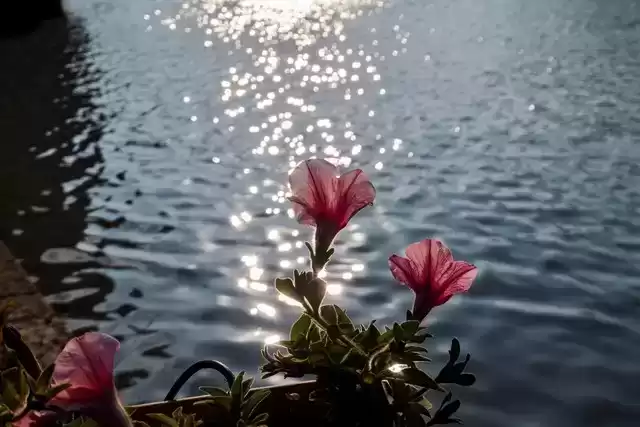 上海广告人震撼分享：内心从容，才是人生最顶级的活法！