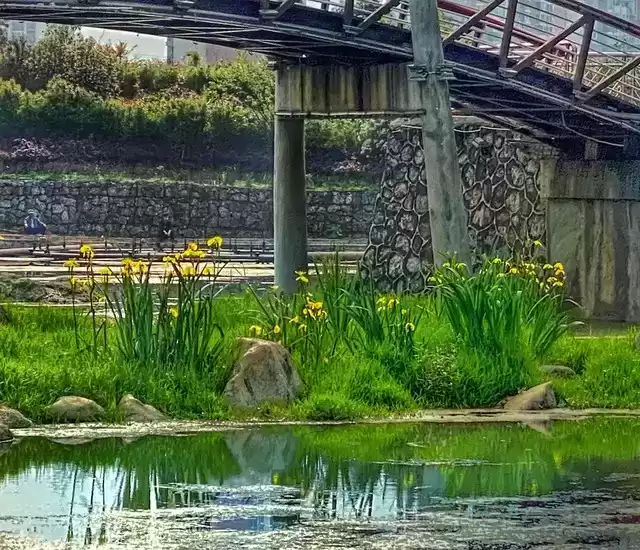 上海广告人震撼分享：内心从容，才是人生最顶级的活法！