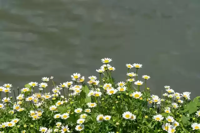 上海广告人震撼分享：内心从容，才是人生最顶级的活法！