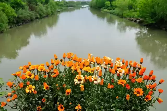 上海广告人震撼分享：内心从容，才是人生最顶级的活法！