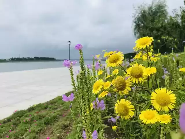 上海广告人震撼分享：内心从容，才是人生最顶级的活法！