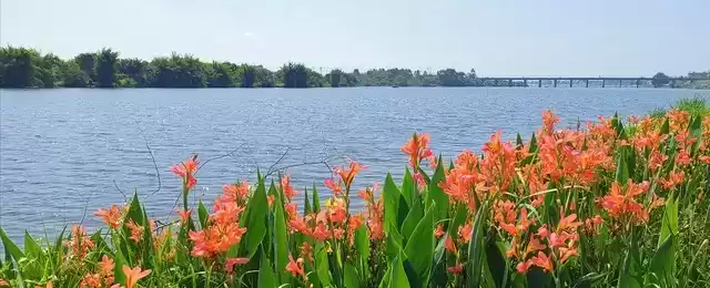 上海广告人震撼分享：内心从容，才是人生最顶级的活法！