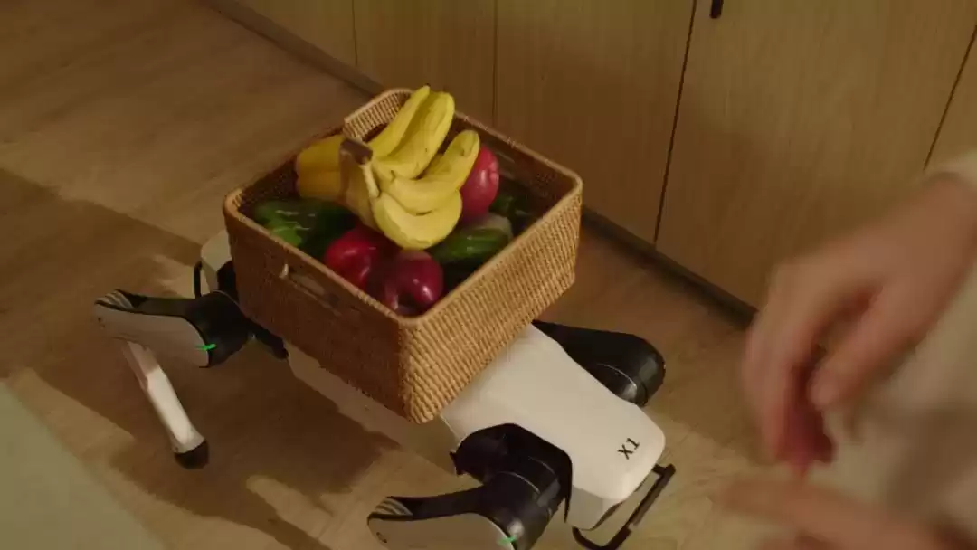 7499元引爆智能革命！全球首款家庭智能体机器人：越疆 Rover X1 机器狗震撼登场