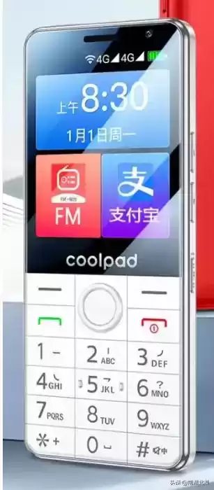 短信、彩信、飞信广告实战宝典：引爆营销转化新浪潮