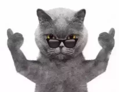 640万条垃圾短信引爆法律风暴!地产商赖账28.8万,法院判决颠覆认知! 640万条垃圾短信引爆法律风暴!地产商赖账28.8万,法院判决颠覆认知!