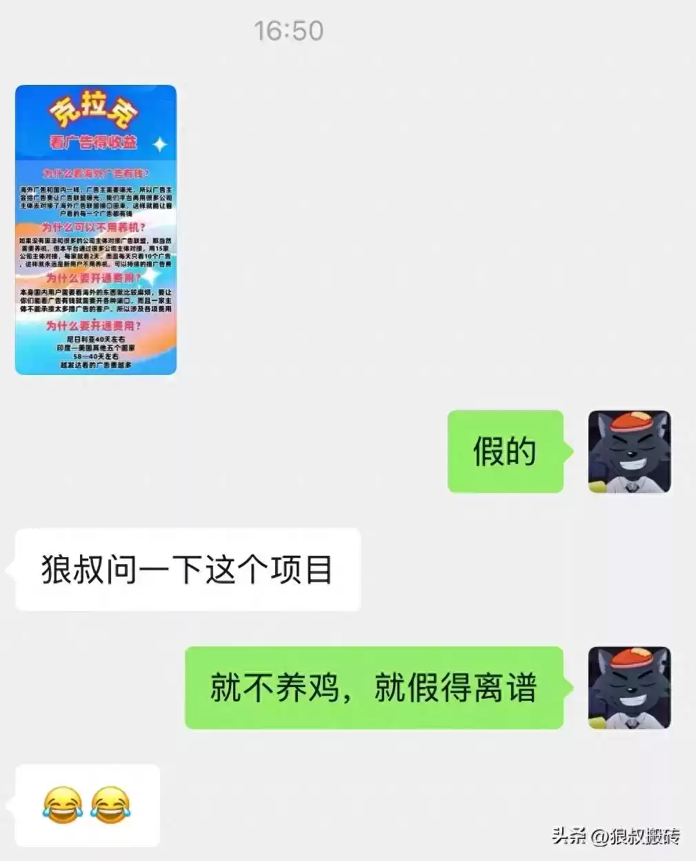 惊天骗局曝光：克拉克海外广告，不养鸡日赚千元？真相炸裂！